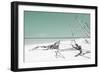 Cuba Fuerte Collection - Wild Green Lagoon-Philippe Hugonnard-Framed Photographic Print