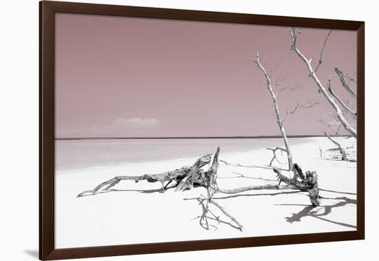 Cuba Fuerte Collection - Wild Red Lagoon-Philippe Hugonnard-Framed Photographic Print
