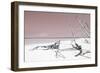 Cuba Fuerte Collection - Wild Red Lagoon-Philippe Hugonnard-Framed Photographic Print