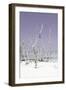 Cuba Fuerte Collection - Wild White Sand Beach II - Pastel Mauve-Philippe Hugonnard-Framed Photographic Print