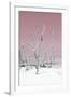 Cuba Fuerte Collection - Wild White Sand Beach II - Pastel Pink-Philippe Hugonnard-Framed Photographic Print