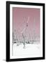 Cuba Fuerte Collection - Wild White Sand Beach II - Pastel Pink-Philippe Hugonnard-Framed Photographic Print