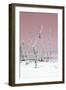 Cuba Fuerte Collection - Wild White Sand Beach II - Pastel Pink-Philippe Hugonnard-Framed Photographic Print