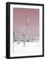 Cuba Fuerte Collection - Wild White Sand Beach II - Pastel Pink-Philippe Hugonnard-Framed Photographic Print