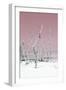 Cuba Fuerte Collection - Wild White Sand Beach II - Pastel Pink-Philippe Hugonnard-Framed Photographic Print