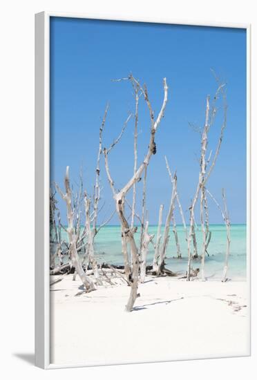 Cuba Fuerte Collection - Wild White Sand Beach II-Philippe Hugonnard-Framed Photographic Print