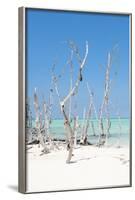 Cuba Fuerte Collection - Wild White Sand Beach II-Philippe Hugonnard-Framed Photographic Print