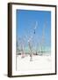 Cuba Fuerte Collection - Wild White Sand Beach II-Philippe Hugonnard-Framed Photographic Print