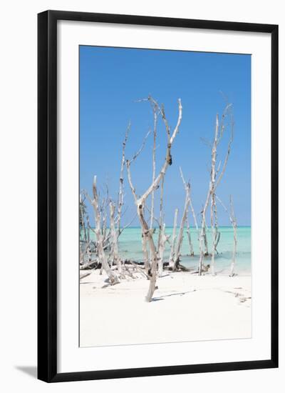 Cuba Fuerte Collection - Wild White Sand Beach II-Philippe Hugonnard-Framed Photographic Print