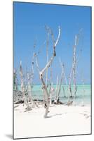 Cuba Fuerte Collection - Wild White Sand Beach II-Philippe Hugonnard-Mounted Photographic Print