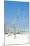 Cuba Fuerte Collection - Wild White Sand Beach II-Philippe Hugonnard-Mounted Photographic Print