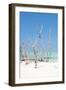 Cuba Fuerte Collection - Wild White Sand Beach II-Philippe Hugonnard-Framed Photographic Print