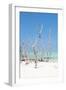 Cuba Fuerte Collection - Wild White Sand Beach II-Philippe Hugonnard-Framed Photographic Print