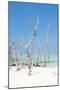 Cuba Fuerte Collection - Wild White Sand Beach II-Philippe Hugonnard-Mounted Photographic Print