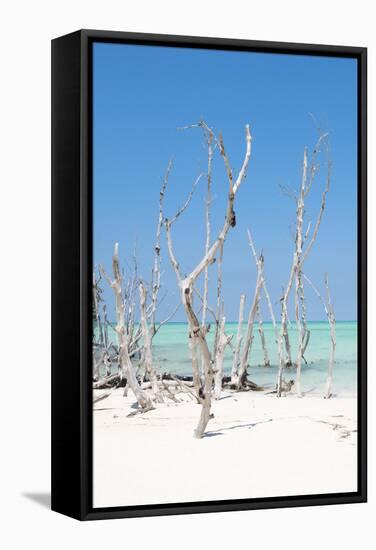 Cuba Fuerte Collection - Wild White Sand Beach II-Philippe Hugonnard-Framed Stretched Canvas