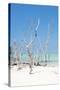 Cuba Fuerte Collection - Wild White Sand Beach II-Philippe Hugonnard-Stretched Canvas