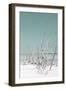 Cuba Fuerte Collection - Wild White Sand Beach III - Pastel Coral Green-Philippe Hugonnard-Framed Photographic Print