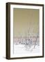 Cuba Fuerte Collection - Wild White Sand Beach III - Pastel Dark Yellow-Philippe Hugonnard-Framed Photographic Print