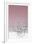 Cuba Fuerte Collection - Wild White Sand Beach III - Pastel Pink-Philippe Hugonnard-Framed Photographic Print