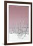 Cuba Fuerte Collection - Wild White Sand Beach III - Pastel Pink-Philippe Hugonnard-Framed Photographic Print