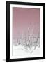 Cuba Fuerte Collection - Wild White Sand Beach III - Pastel Pink-Philippe Hugonnard-Framed Photographic Print