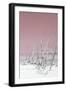 Cuba Fuerte Collection - Wild White Sand Beach III - Pastel Pink-Philippe Hugonnard-Framed Photographic Print