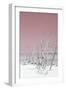 Cuba Fuerte Collection - Wild White Sand Beach III - Pastel Pink-Philippe Hugonnard-Framed Photographic Print