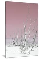 Cuba Fuerte Collection - Wild White Sand Beach III - Pastel Pink-Philippe Hugonnard-Stretched Canvas