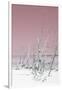 Cuba Fuerte Collection - Wild White Sand Beach III - Pastel Pink-Philippe Hugonnard-Framed Photographic Print