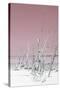 Cuba Fuerte Collection - Wild White Sand Beach III - Pastel Pink-Philippe Hugonnard-Stretched Canvas