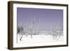 Cuba Fuerte Collection - Wild White Sand Beach - Pastel Mauve-Philippe Hugonnard-Framed Photographic Print