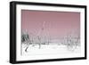 Cuba Fuerte Collection - Wild White Sand Beach - Pastel Pink-Philippe Hugonnard-Framed Photographic Print