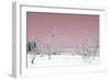 Cuba Fuerte Collection - Wild White Sand Beach - Pastel Pink-Philippe Hugonnard-Framed Photographic Print