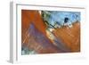 Cuba Grafitti-Art Wolfe-Framed Photographic Print