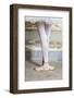 Cuba, Havana. Ballet position of ballerina's legs and feet.-Jaynes Gallery-Framed Photographic Print