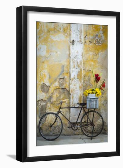 Cuba, Havana. Bicycle with Flowers Leaning Against a Decaying Wall-Brenda Tharp-Framed Photographic Print