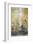 Cuba, Havana. Bicycle with Flowers Leaning Against a Decaying Wall-Brenda Tharp-Framed Photographic Print