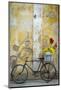 Cuba, Havana. Bicycle with Flowers Leaning Against a Decaying Wall-Brenda Tharp-Mounted Photographic Print