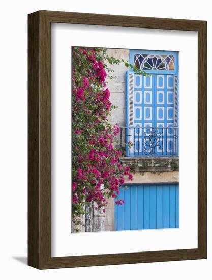 Cuba, Havana. Bougainvillea blooms in Old Town.-Brenda Tharp-Framed Photographic Print