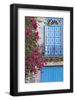 Cuba, Havana. Bougainvillea blooms in Old Town.-Brenda Tharp-Framed Photographic Print