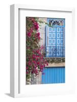 Cuba, Havana. Bougainvillea blooms in Old Town.-Brenda Tharp-Framed Photographic Print