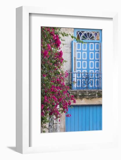 Cuba, Havana. Bougainvillea blooms in Old Town.-Brenda Tharp-Framed Photographic Print