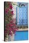 Cuba, Havana. Bougainvillea blooms in Old Town.-Brenda Tharp-Stretched Canvas