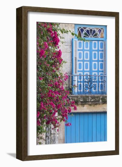 Cuba, Havana. Bougainvillea blooms in Old Town.-Brenda Tharp-Framed Photographic Print