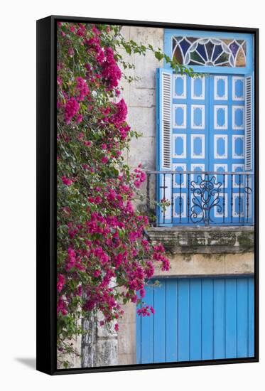 Cuba, Havana. Bougainvillea blooms in Old Town.-Brenda Tharp-Framed Stretched Canvas