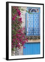 Cuba, Havana. Bougainvillea blooms in Old Town.-Brenda Tharp-Framed Photographic Print