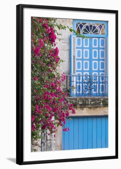 Cuba, Havana. Bougainvillea blooms in Old Town.-Brenda Tharp-Framed Photographic Print