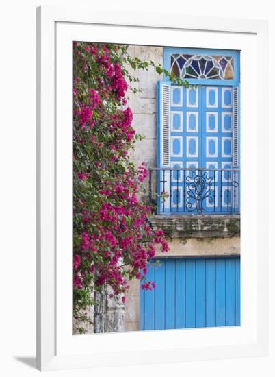 Cuba, Havana. Bougainvillea blooms in Old Town.-Brenda Tharp-Framed Photographic Print