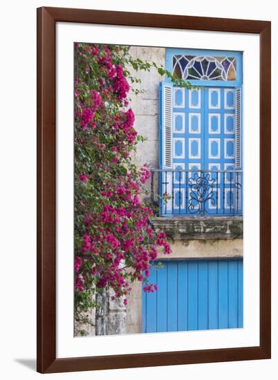 Cuba, Havana. Bougainvillea blooms in Old Town.-Brenda Tharp-Framed Photographic Print