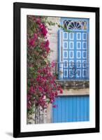 Cuba, Havana. Bougainvillea blooms in Old Town.-Brenda Tharp-Framed Photographic Print